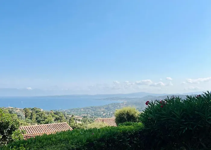 Vista