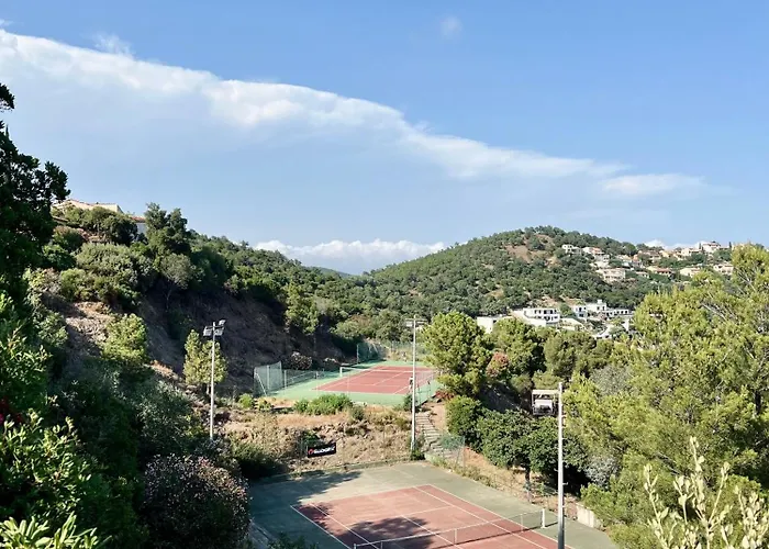 Vista