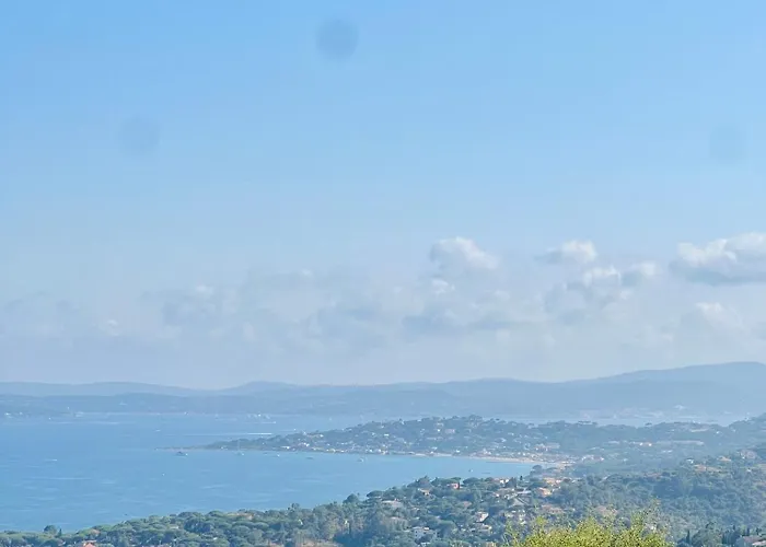 Vista